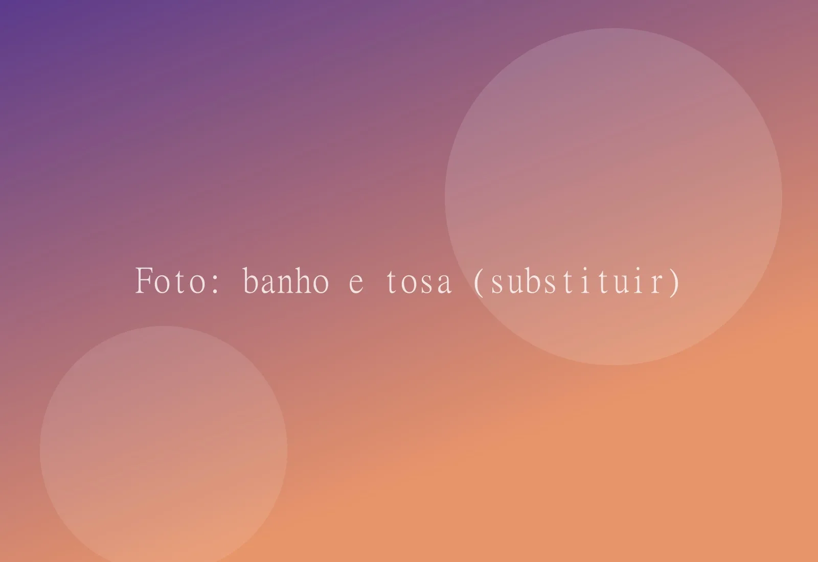 Cachorro sendo secado com toalha